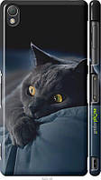 Чехол на Sony Xperia Z3 dual D6633 Дымчатый кот "825c-59-70447"