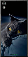Чехол на Sony Xperia XA1 Ultra G3212 Дымчатый кот "825u-1237-70447"