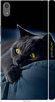 Чехол на Sony Xperia XA1 Ultra G3212 Дымчатый кот "825m-1237-70447"