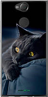 Чехол на Sony Xperia XA2 H4113 Дымчатый кот "825u-1357-70447"