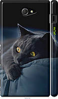 Чохол на Sony Xperia M2 D2305 Димчастий кіт "825c-60-70447"