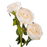 Троянда дамаська, ніжно-рожева, 56 см ELISEY, фото 2