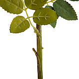 Троянда дамаська, ніжно-рожева, 56 см ELISEY, фото 3