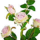 Троянда "Мірабель", кремово-рожева, 56 см ELISEY, фото 2