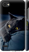 Чехол на LG Q6 Дымчатый кот "825m-1094-70447"