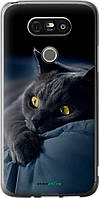Чехол на LG G5 H860 Дымчатый кот "825u-348-70447"