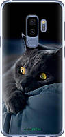 Чехол на Samsung Galaxy S9 Plus Дымчатый кот "825u-1365-70447"