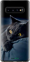 Чехол на Samsung Galaxy S10 Дымчатый кот "825u-1640-70447"