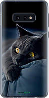 Чехол на Samsung Galaxy S10e Дымчатый кот "825u-1646-70447"