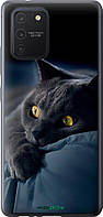 Чехол на Samsung Galaxy S10 Lite 2020 Дымчатый кот "825u-1851-70447"