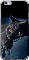 Чехол на iPhone 6 Plus Дымчатый кот "825u-48-70447"