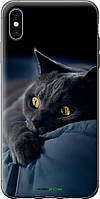 Чехол на iPhone XS Max Дымчатый кот "825u-1557-70447"