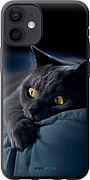 Чехол на iPhone 12 Mini Дымчатый кот "825u-2071-70447"