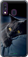 Чехол на Samsung Galaxy A40 2019 A405F Дымчатый кот "825u-1672-70447"