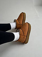 Женские ботинки UGG Ugg Ultra Mini Platform Beige теплые угги мех