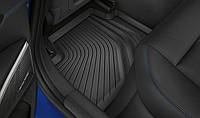 Всепогодні килимки для BMW G20 3-серія, задні
