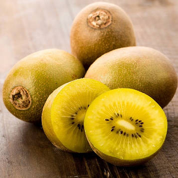 Саджанці Ківі Голд (Gold kiwi) — самоплідний, невибагливий, морозостійкий (3-річгий)