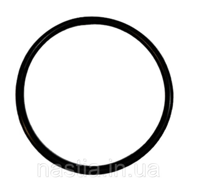 36212216 (36363117) Гумовий ущільнювач нижнього поршня робочої групи, Bianchi Gaia, фото 1