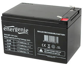 Аккумуляторная батарея 12В 12Aгод EnerGenie BAT-12V12AH- MegaLavka