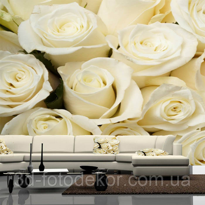 Фото шпалери "Білі троянди" - Будь-який розмір! Читаємо опис!