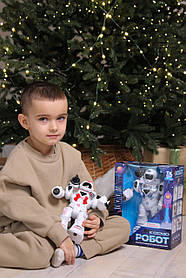 Робот 58293 ходить, стріляє ракетами