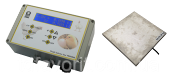 Ваги Тип PM30 з платформою для батьків , фото 1