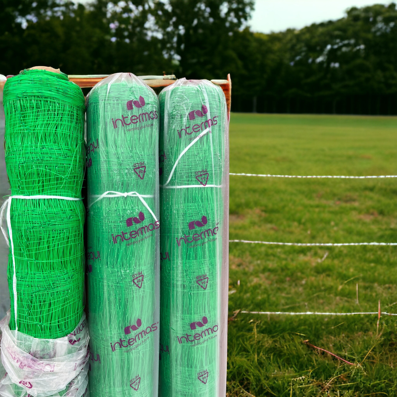 Сетка шпалерная для огурцов Intermas: продажа, цена в Харькове. Садовые ...