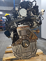 K9K626 Двигун Рено Логан, фото 4