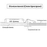 LED панель армстронг 60х60 36W 6500K ULM (матова), фото 8
