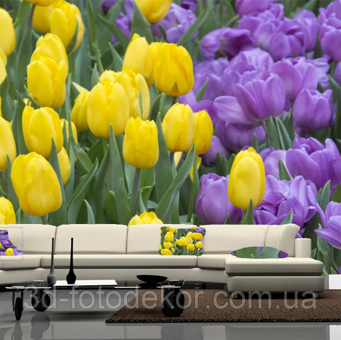 Фото шпалери "Жовті і фіолетові тюльпани" - Будь-який розмір! Читаємо опис!