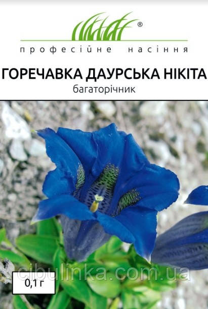 Насіння Горечавка даурська Микита Професійне насіння 0,1 г, фото 1