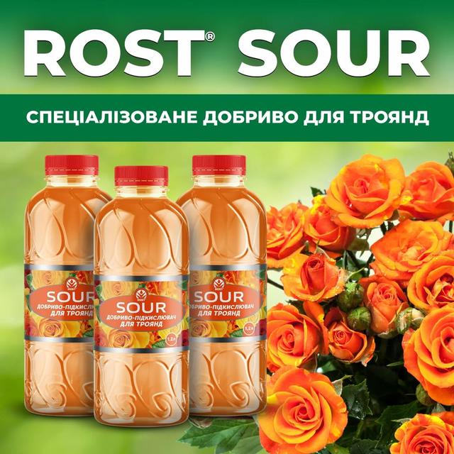 Сиськидегі БДСМ инелер Жасырын камераға жыныстық қатынас түсірілді