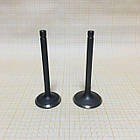 Клапан впуск випуск двигуна 192 бензин Weima Original