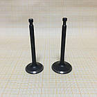 Клапан впуск випуск двигуна 192 бензин