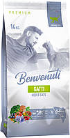 Корм для кошек Benvenuti GATTI с лососем 14 кг