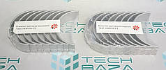 Вкладиші КАМАЗ СТ шатунні (Federal-Mogul), комплект 7405-1000104 СТ