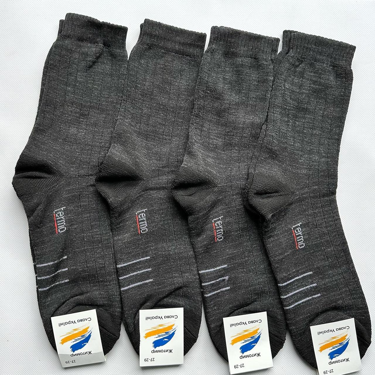 Шкарпетки чоловічі термо махра