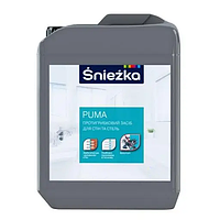 Протигрибковий засіб для стін та стель Sniezka PUMA 10 л