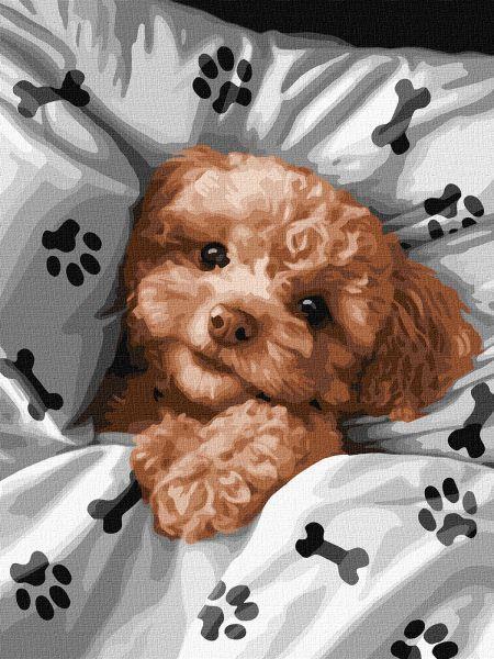 Картина за номерами Милий мальтіпу art_selena_ua 30х40 Ідейка (KHO6538)