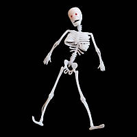 Скелет резиновый 30см белый