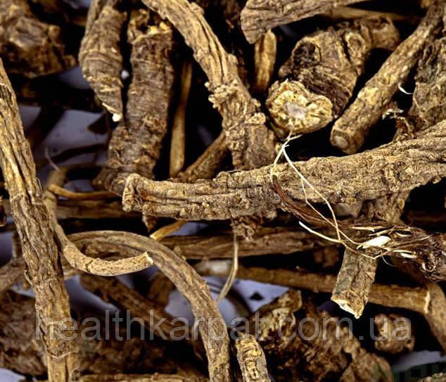 Бедренець каменеломковий корінь 500 грам, фото 1