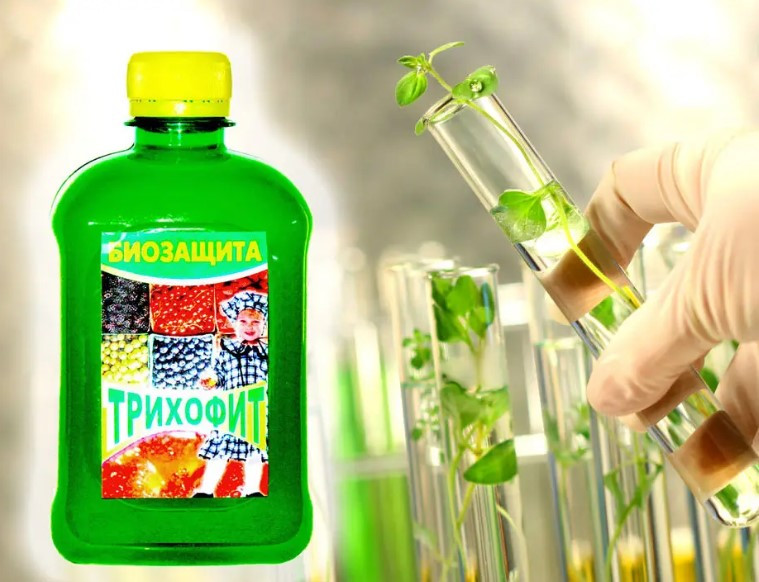 Триофіт Біопрепарат 0,5 літра, фото 1