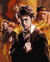 Картина по номерам Персонажи Гарри Поттер 40*50 см Origami (LW3100)