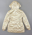Куртка для дівчаток, Артикул: N9211-бежевий [є:38], фото 2