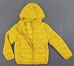 Куртка для хлопчиків Glo-Story, Артикул: BMA2518 [є:134-140], фото 2