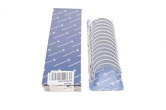 Вкладиші корінні Audi A3/Q7/Ford Galaxy I/VW T4/T5/Passat B6/B7 2.8-3.6 95-14 (+0.25) 77821610 UA62