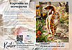 Картина за номерами 40×50 см Kontur. Рудий пухнастий котик. DS0569, фото 3