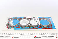 Прокладка ГБЦ Fiat Ducato 2.5D, 1,80 мм, Ø 95,20 мм REINZ 61-33610-20 UA62