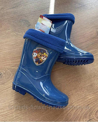 Чоботи з утепленою підкладкою Paw Patrol, фото 1