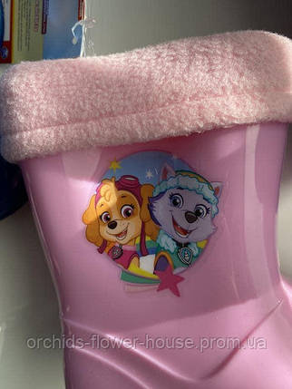 Чоботи з утепленою підкладкою Paw Patrol 24р, фото 2